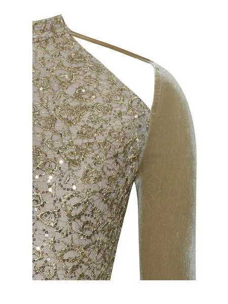 AKIRA VELVET DRESS