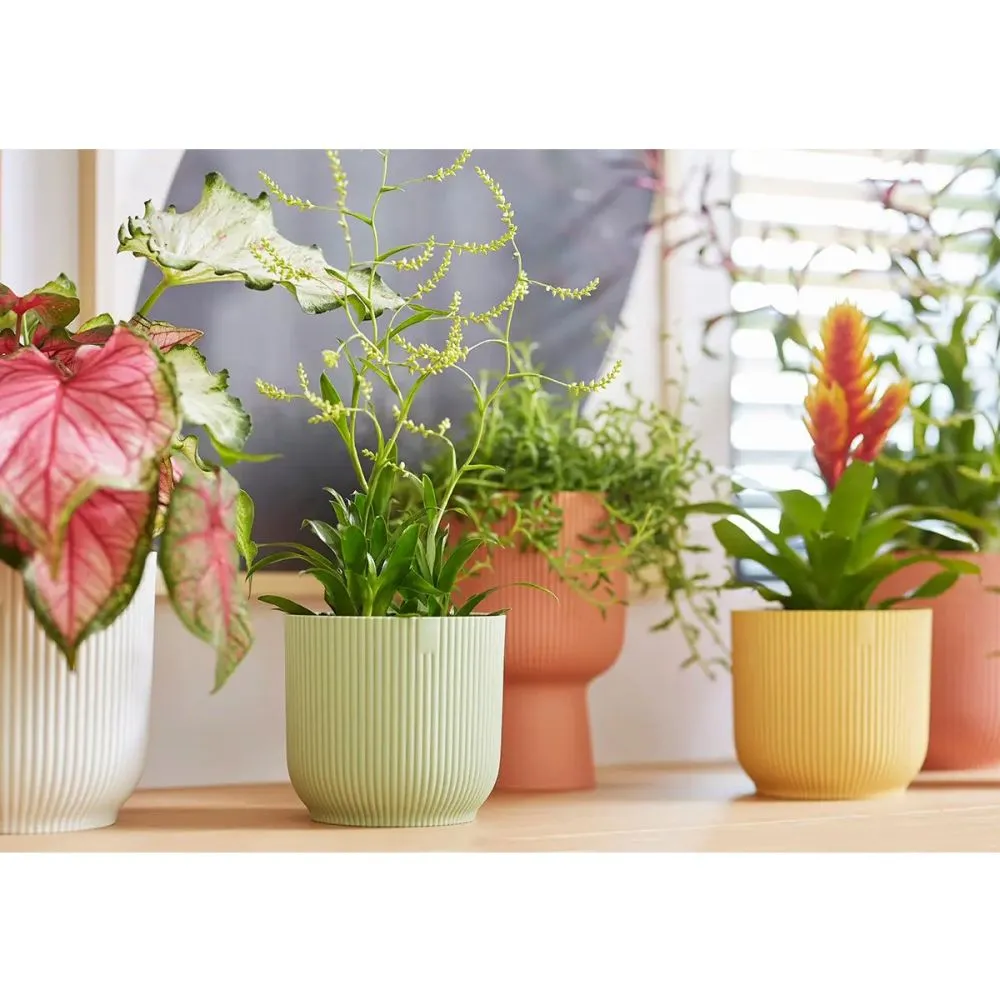 Elho 18cm Sorbet Green Vibes Fold Round Pot