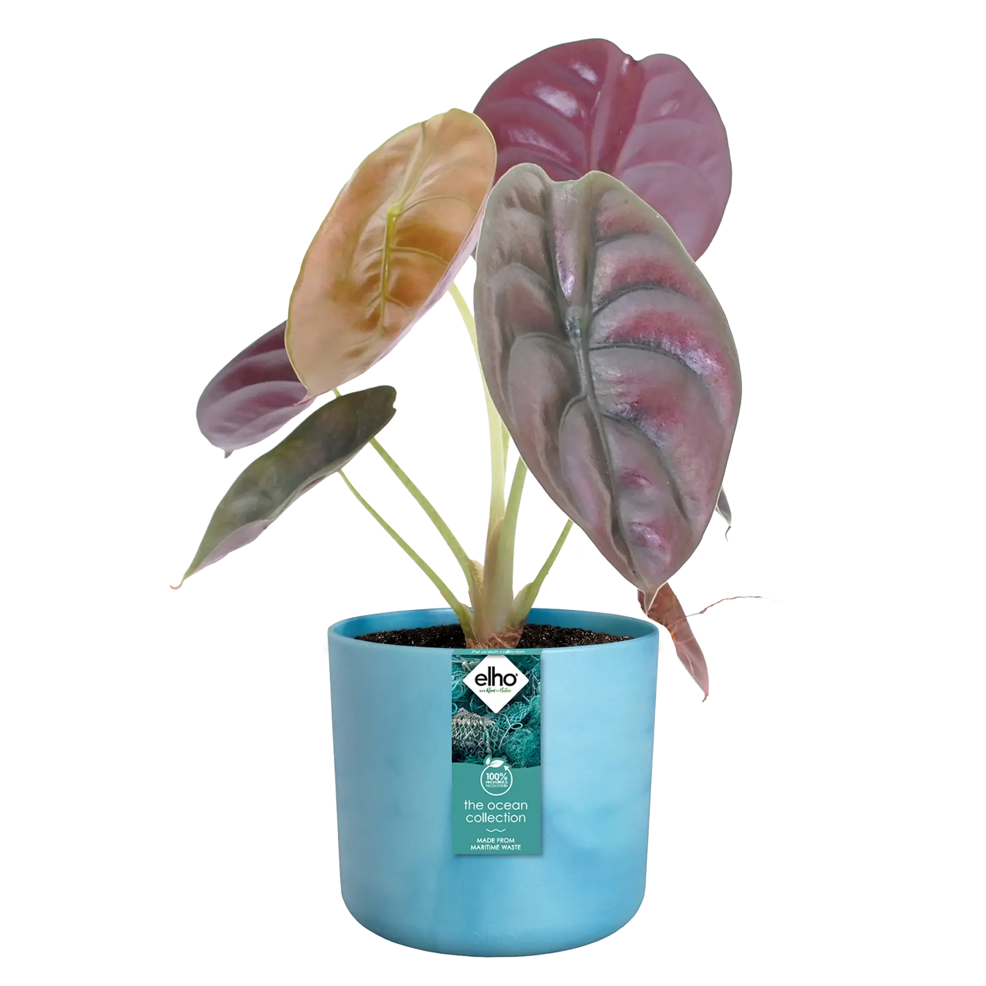 Elho Ocean Collection Atlantic Blue Recycled Waste Round Indoor Pot 18cm