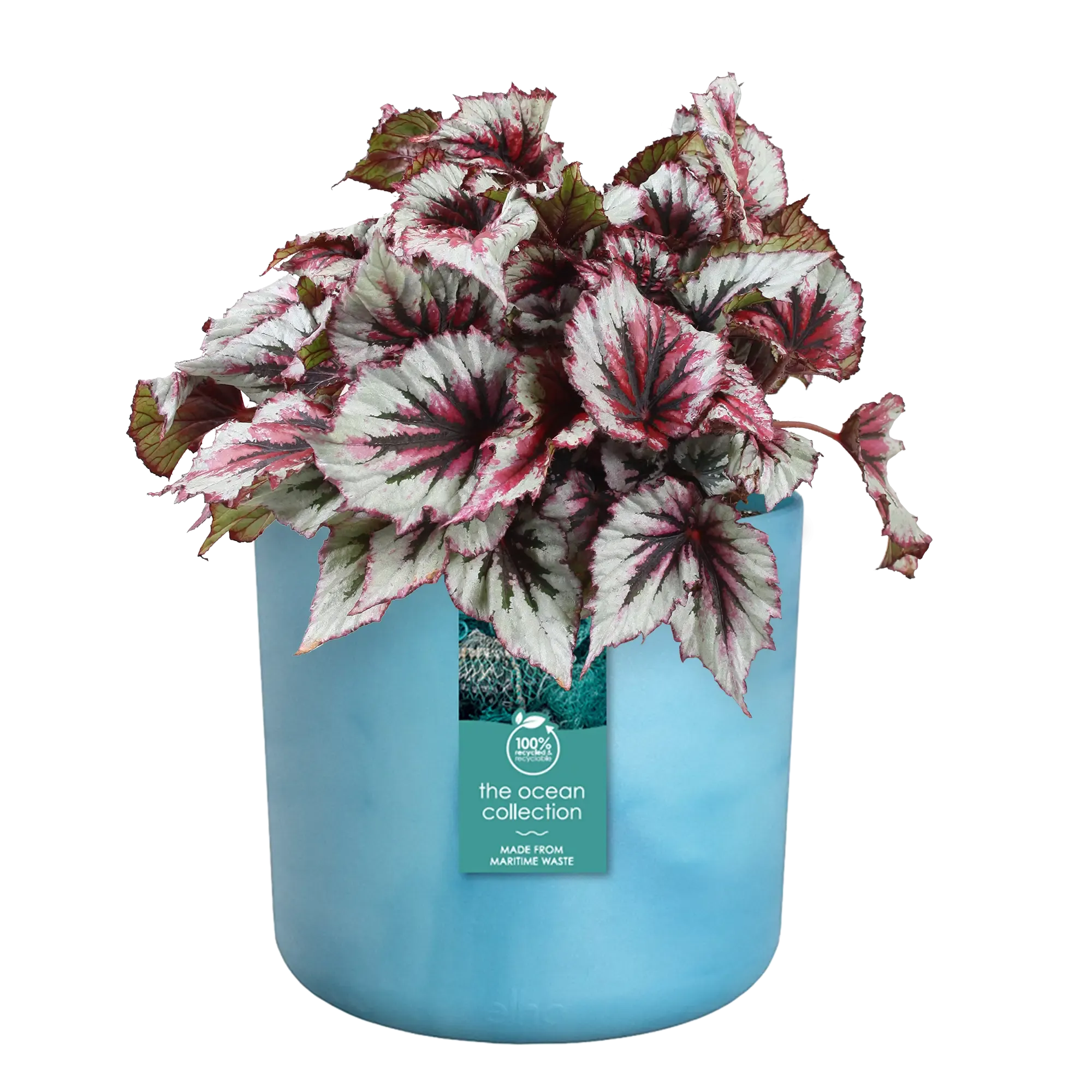 Elho Ocean Collection Atlantic Blue Recycled Waste Round Indoor Pot 18cm