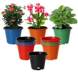 Heart Home Durable Plastic Flower Pot|Gamla for Indoor Home Decor & Outdoor Balcony,Garden,6"x5",Pack of 10 (Multicolor)