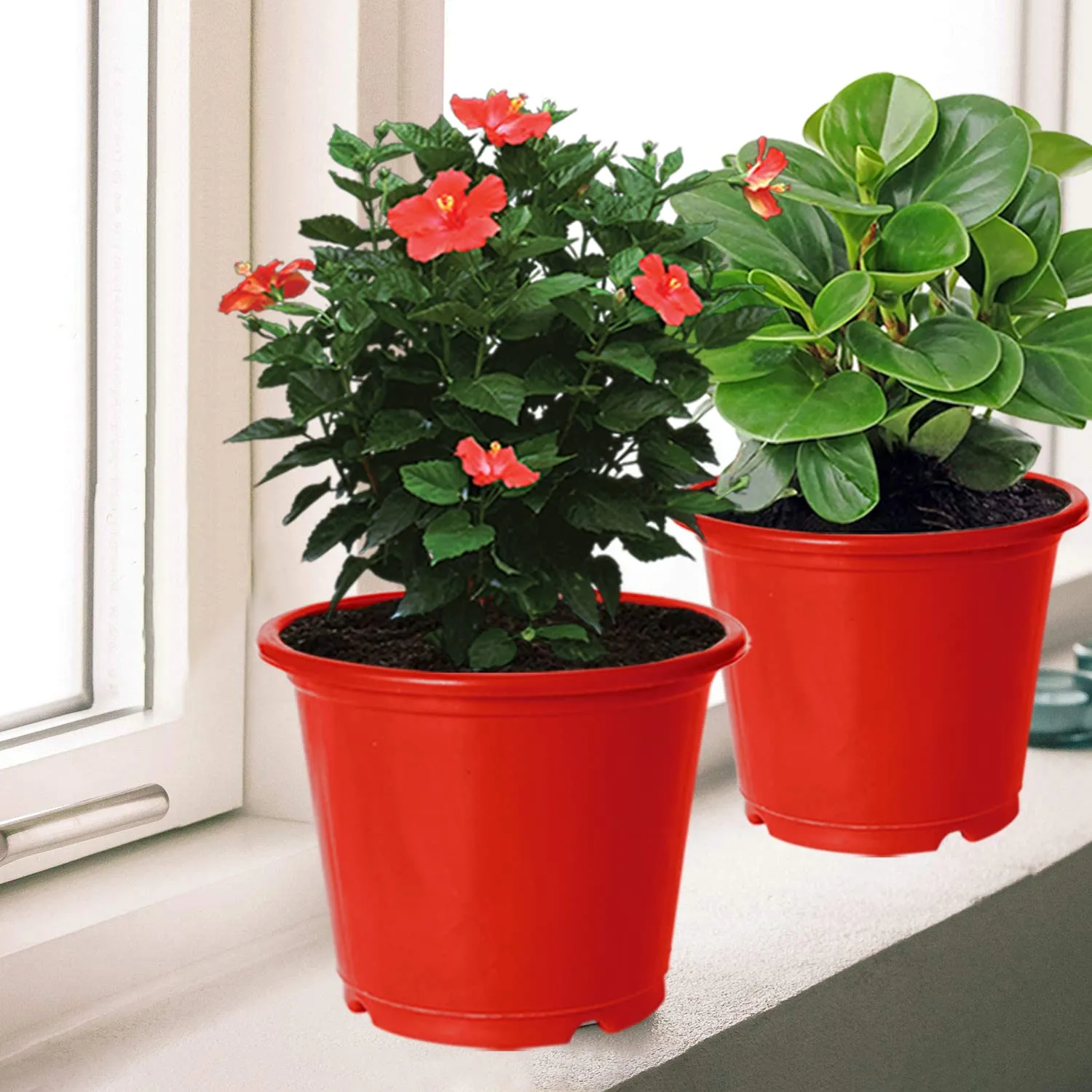 Heart Home Durable Plastic Flower Pot|Gamla with Drain Holes for Indoor Home Decor & Outdoor Balcony,Garden,6"x5",Pack of 4 (Red)