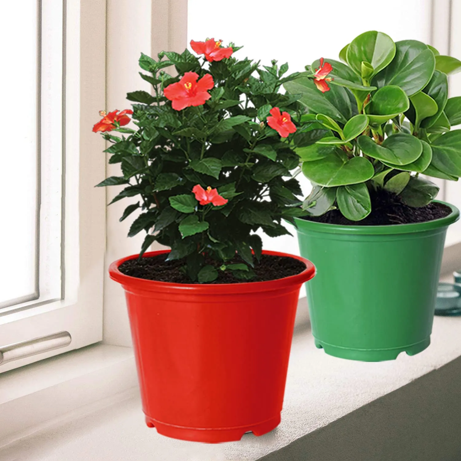 Kuber Industries Durable Plastic Flower Pot|Gamla for Indoor Home Decor & Outdoor Balcony,Garden,6"x5",Pack of 3 (Green,Red,Black)