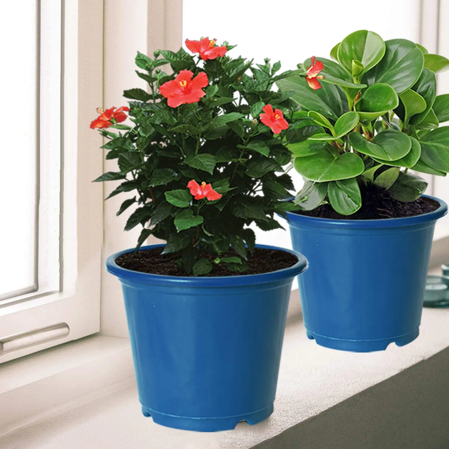 Kuber Industries Durable Plastic Flower Pot|Gamla with Drain Holes for Indoor Home Decor & Outdoor Balcony,Garden,6"x5",Pack of 10,(Blue)
