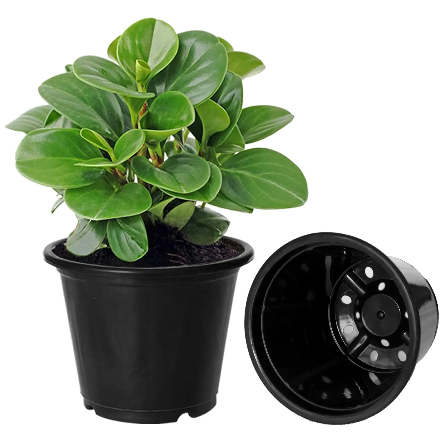 Kuber Industries Durable Plastic Flower Pot|Gamla with Drain Holes for Indoor Home Decor & Outdoor Balcony,Garden,6"x5",Pack of 5 (Black)