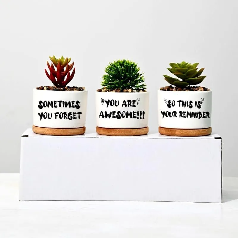 Planter Pots with Bamboo Tray, 3 Pack