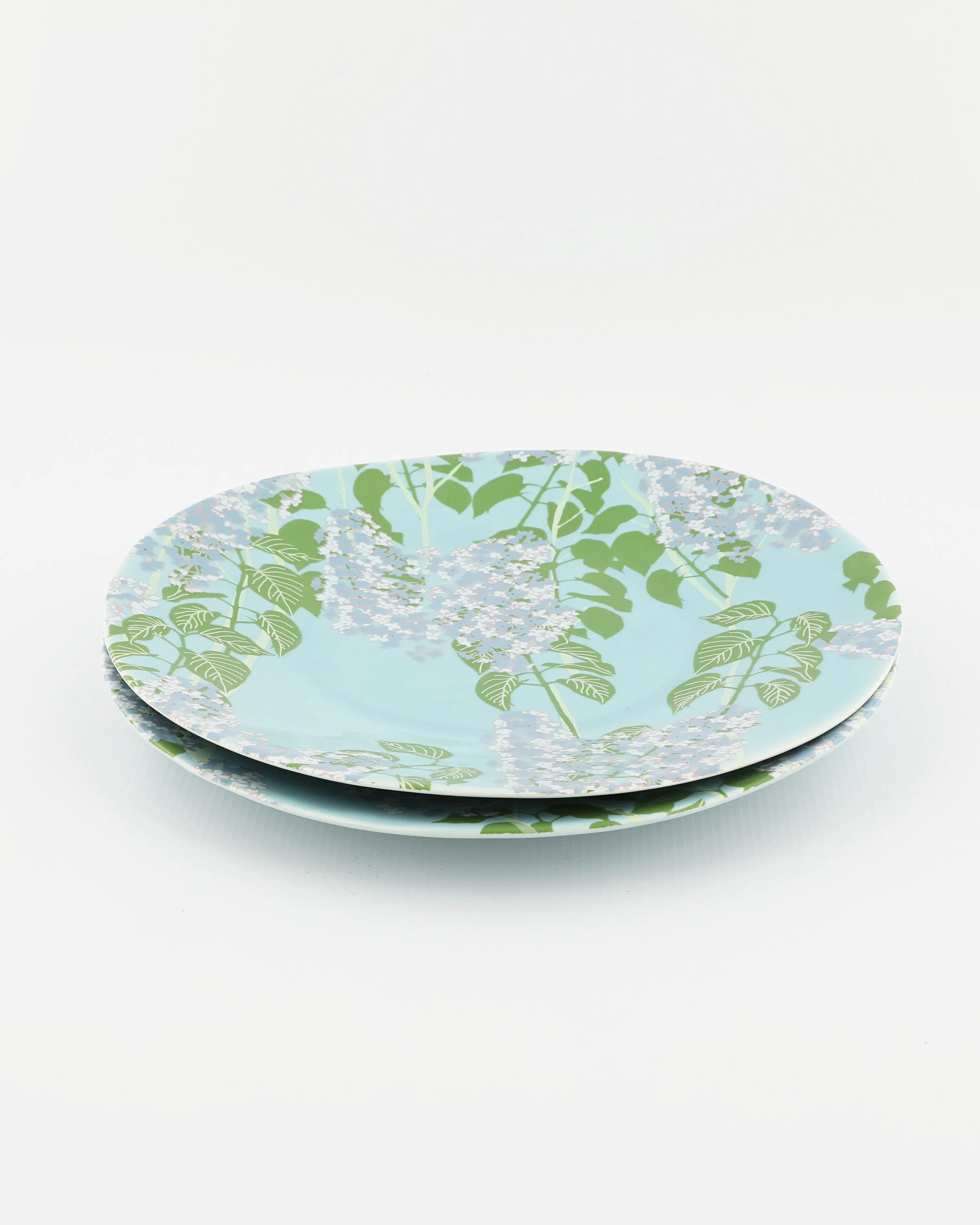 Set of 2 Dinner Plates