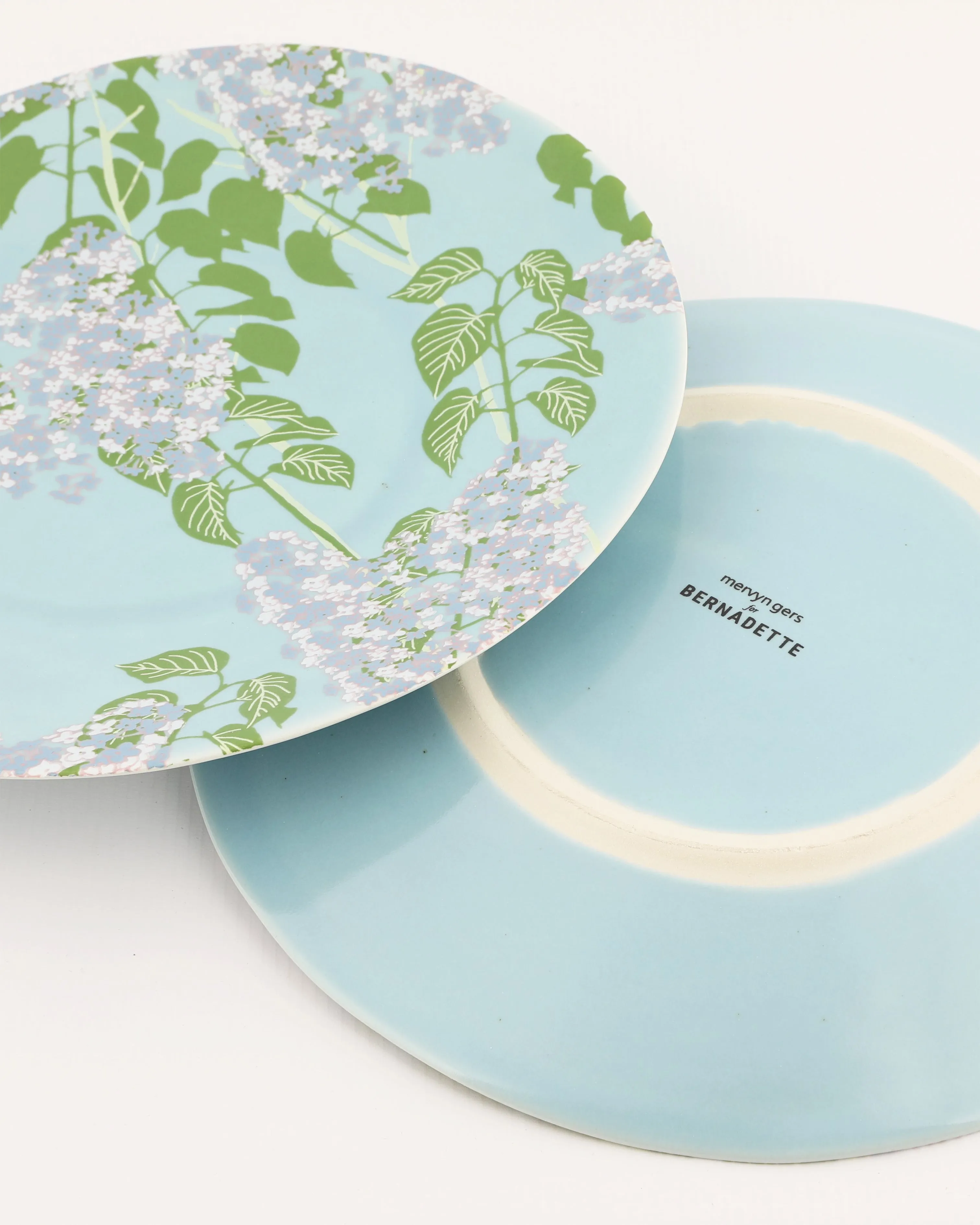 Set of 2 Dinner Plates