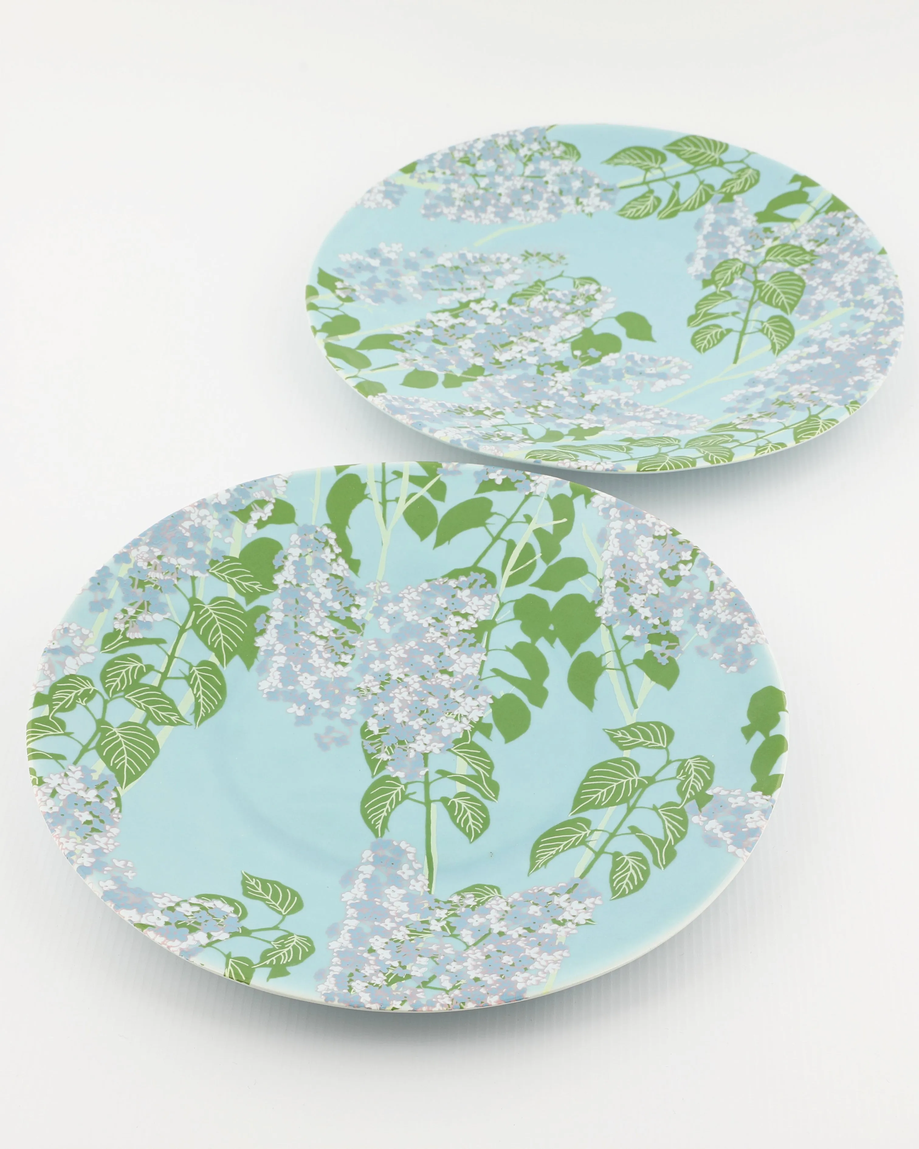 Set of 2 Dinner Plates