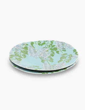 Set of 2 Dinner Plates