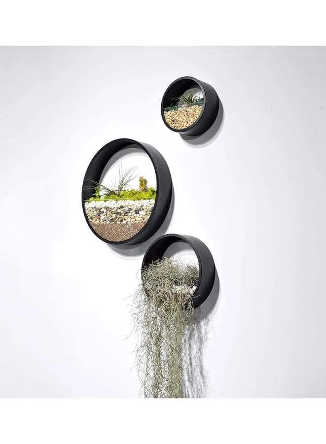 Set of 3 Wall Vases Metal Glass Round Wall Flower Pots Wall Terrarium Vertical Container for Living Room Interior Design, Stairs, Living Room, Bar, Office (Plants NOT Included)
