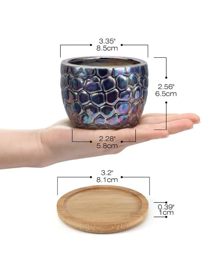 Small Textured Indoor Plant Pot With Drainage Hole and Tray (Plant Not Included)