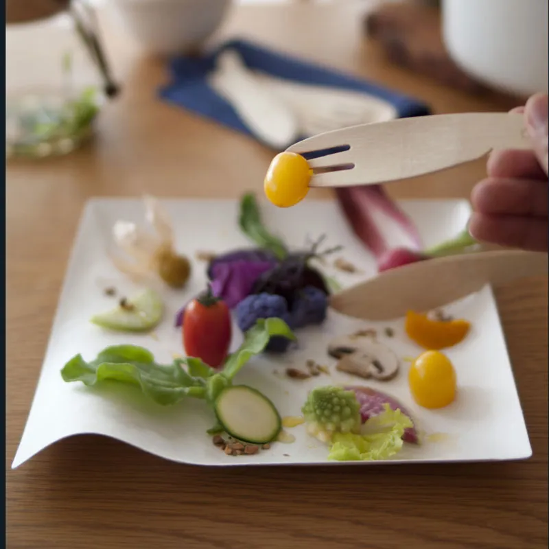 Wasara Kaku Plates