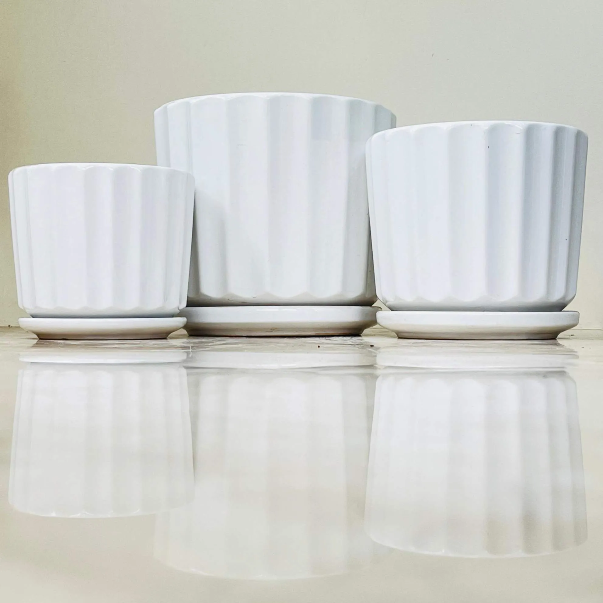 White Sculpted Ceramic Pot Set with Saucers (Set Of 3)